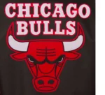 Chicago Bulls JH Design Black Poly Twill Jacket